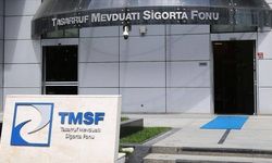 TMSF, bir şirketi daha satışa çıkardı