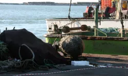 Zonguldak'ta balıkçıların ağına deniz mayını takıldı