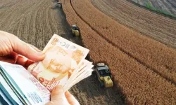 Tarım ve Orman Bakanlığı: Tarımsal destek ödemeleri bugün çiftçilerin hesabına yatırılacak