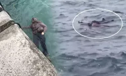Sarıyer'de intihar etmek için denize atlayan kadın vatandaşlar tarafından kurtarıldı!