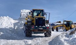 Van'da ulaşıma kar engeli: 87 yerleşim yerinin yolu kapandı