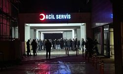 Mardin'de 18 yaşındaki genç, başından vurulmuş halde bulundu
