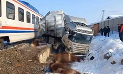 Tren, hayvanları taşıyan TIR'a çarptı: 2 ölü, 2 yaralı