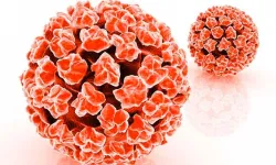 Ankara’da ücretsiz HPV aşısı uygulaması başladı