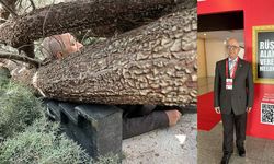 Burdur'da seçim çalışması yapan adayın üstüne ağaç devrildi
