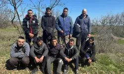 Edirne'de 9 düzensiz göçmen yakalandı