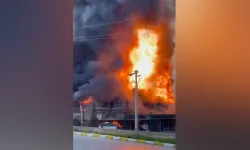 İzmir'de soğuk hava deposunda yangın