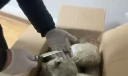 Kargo paketinden 26 kilo esrar çıktı: 1 tutuklama