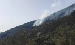 Kazdağları’nda orman yangını