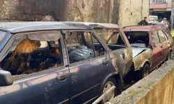 Rize'de park halindeki 2 otomobil yandı