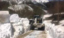 Hakkari'de 23 Nisan'da 3 metrelik karla mücadele