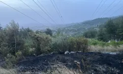 Hatay'da orman yangını!