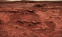 Mars zemininde, örümceğe benzeyen madde toplulukları gözlemlendi