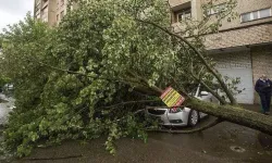 Moskova'da fırtına nedeniyle 2 kişi hayatını kaybetti