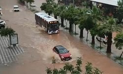 Adana'da sağanak ve fırtına: Ağaçlar devrildi araçlar su altında kaldı