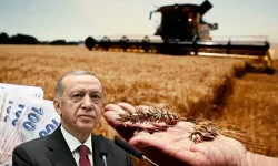 Çiftçiye yüzde 70 ek destek! Cumhurbaşkanı Erdoğan açıkladı! 'KDV'den muaf...'