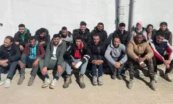 Edirne'de 17 kaçak göçmen yakalandı