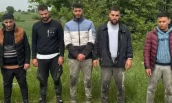 Edirne'de 5 düzensiz göçmen yakalandı