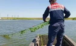 Edirne'de jandarma kaçak avlanan avcıların gölete attığı ağa takılan balıkları suya saldı