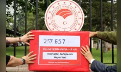 Hayvan hakları savunucuları 257 bin imza topladı: "Öldürme kararından vazgeçin!"