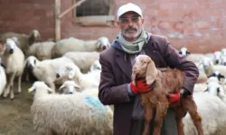 Seçimi kaybedince yazdığı şiirle ünlü olmuştu! Fenomen muhtar dolandırıldı