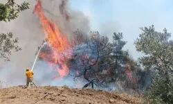 Urfa'da anız yangınına müdahale eden 16 yaşındaki çocuk öldü