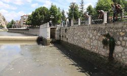 Amasya'dan geçen Yeşilırmak'ta balık ölümleri görüldü