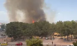 Antalya'da yerleşim yerine yakın ağaçlık alanda yangın çıktı