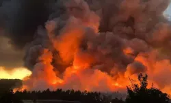 Çanakkale ve Uşak'ta orman yangını... Saatlerdir yanmaya devam ediyor