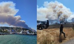 Çanakkale'de orman yangını! Gemi trafiği askıya alındı