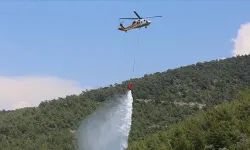 Çanakkale'de tarım arazisinde yangın