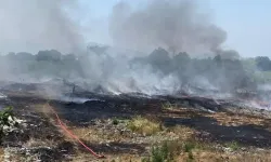 Çöplük alanda çıkan yangın tarlaya sıçradı!