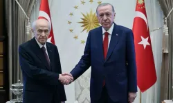 Cumhurbaşkanı Erdoğan, Devlet Bahçeli ile görüştü