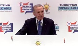Cumhurbaşkanı Erdoğan: Tüm imkanlarımızla Filistin halkının yanında duruyoruz