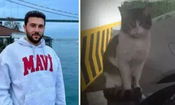 İstinaftan kedi Eros'u işkenceyle öldüren İbrahim Keloğlan hakkında karar