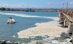 Karadeniz'de ürküten görüntünün sebebi ortaya çıktı