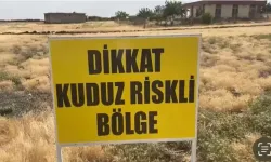 Şanlıurfa'da yeni kuduz vakası! Bölge karantinaya alındı