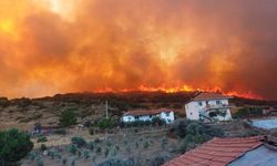 Manisa’daki yangına müdahale sürüyor: 300 hektar alan ile evler zarar gördü