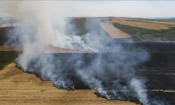 Şanlıurfa'da anız yaktıkları belirlenen 6 kişi hakkında işlem yapıldı