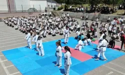 Sivas'ta 450 kişilik karate gösterisi dikkat çekti