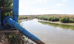 Tunca Nehri'nde kuraklık: Kontrollü sulamaya geçildi