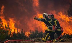 Türkiye'nin ciğerleri yanıyor! 5 ilimizde orman yangını