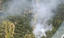 Balıkesir'de orman yangını çıktı