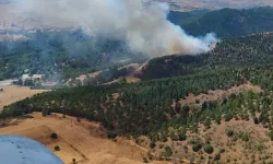 Balıkesir'de ormanlık alanda yangın