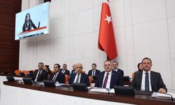 Başıboş hayvanlara yönelik yasanın tamamı görüşülmeye başlandı