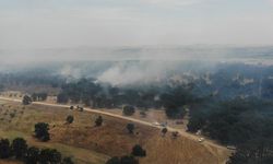 Edirne'de Bulgaristan sınırına yakın bölgede orman yangını