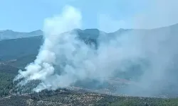 Hatay'da orman yangını