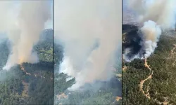 İzmir'de orman yangını! Çok sayıda ekip sevk edildi