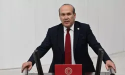 Mavi Vatan'a "Masal" diyen CHP'li Namık Tan'a tepkiler çığ gibi!