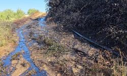 Adıyaman'da petrol boruları patladı: Ham petrol yola ve tarlalara döküldü!